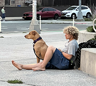 A young man and his dog, sitting on the concrete ground up against a planter wall with the street in the background, intently watch the play.